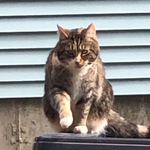 Meet your Posher, Michael